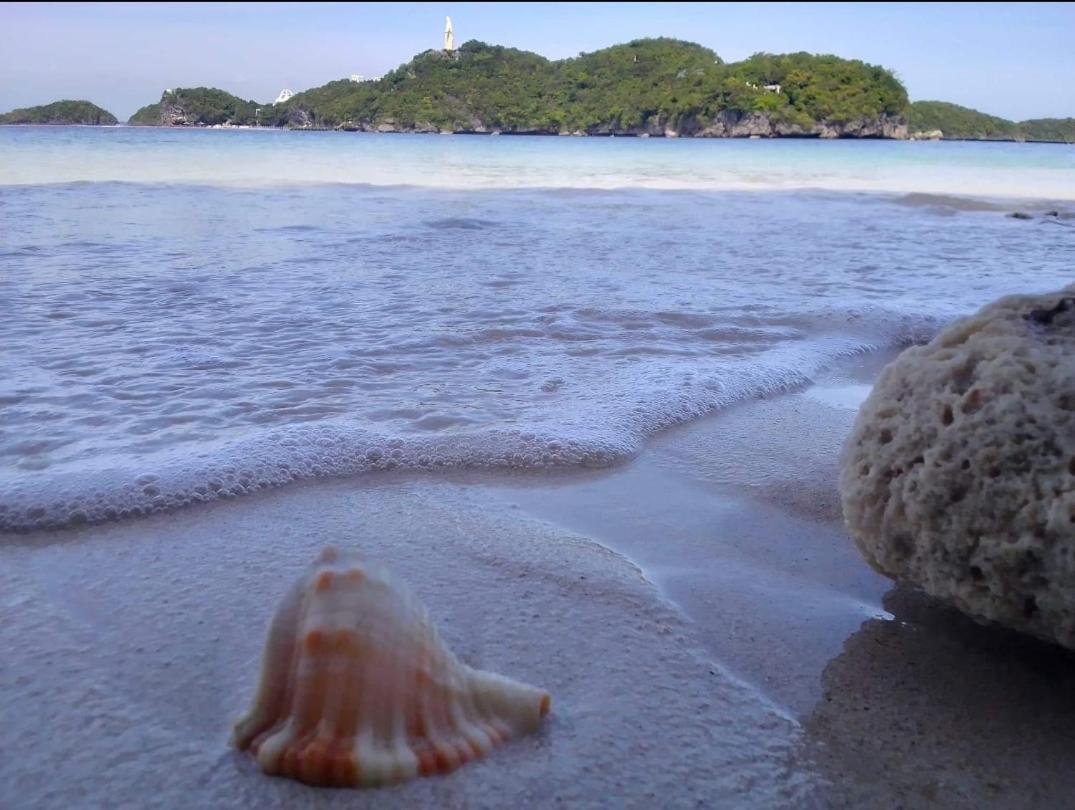 Carribean Transient House Bed & Breakfast Lucap Dış mekan fotoğraf
